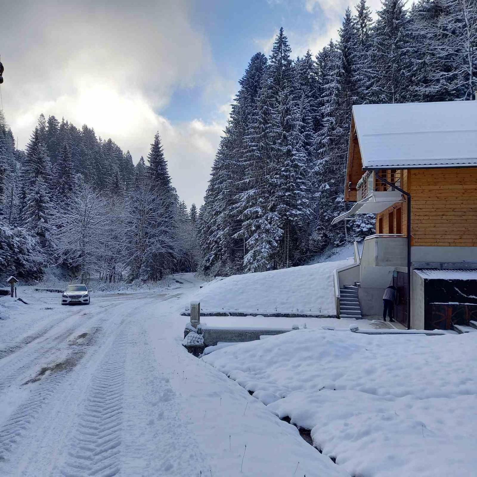 Hisa Lunna - Apartments In A Forest Paradise Vitanje Exterior photo