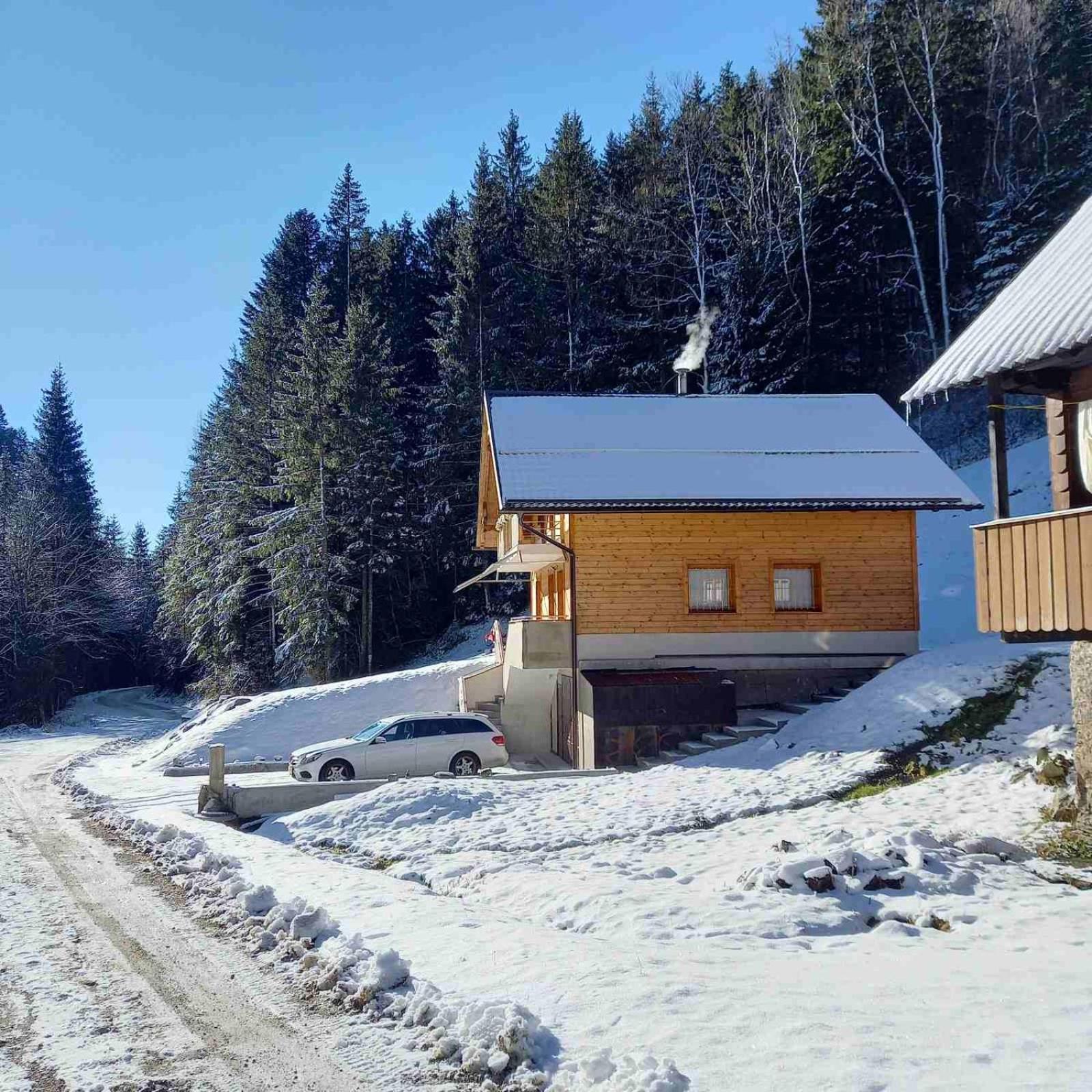 Hisa Lunna - Apartments In A Forest Paradise Vitanje Exterior photo